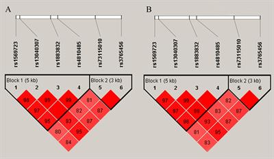 Association of CD40 Gene Polymorphisms With Systemic Lupus Erythematosus and Rheumatoid Arthritis in a Chinese Han Population